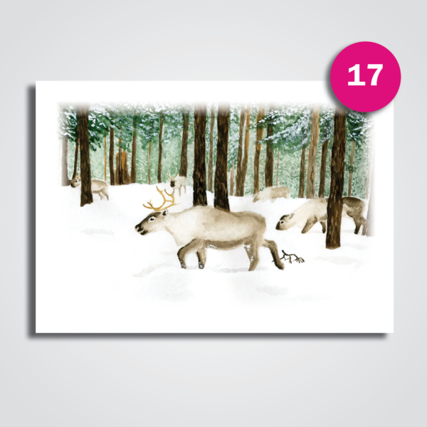 Christmas Cards - Image 17